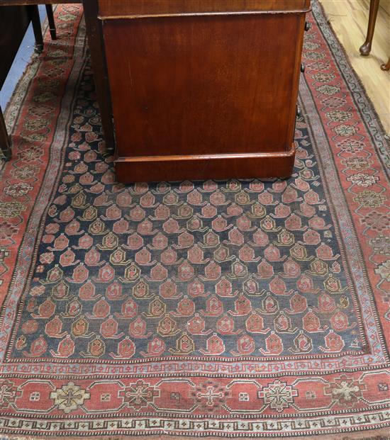 A Caucasian rug 262 x 147cm